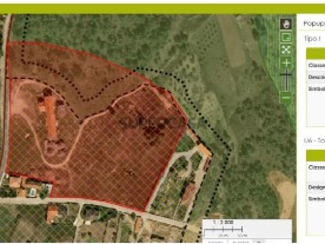 Terreno em Torre de Dona Chama