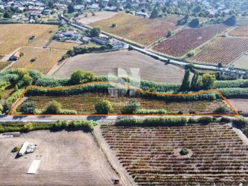 Terreno em Torres vedras
