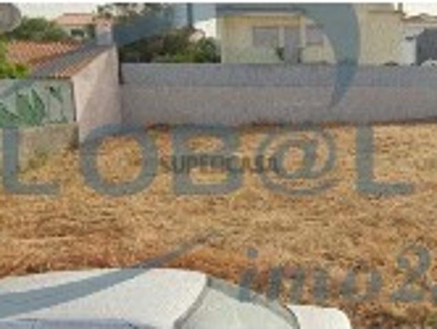 Terreno em Torres Novas São Pedro, Lapas e Ribeira Branca