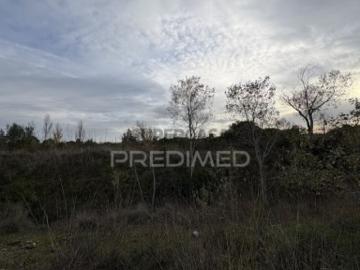 Terreno em Torres Novas São Pedro, Lapas e Ribeira Branca