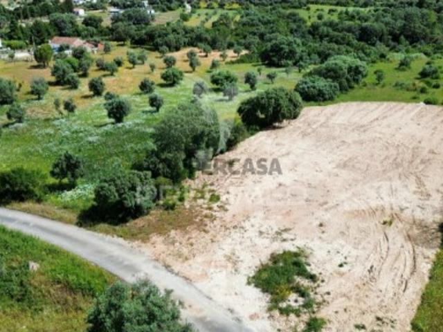 Terreno em Brogueira, Parceiros de Igreja e Alcorochel