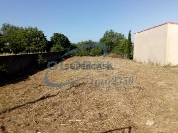 Terreno em Torres Novas São Pedro, Lapas e Ribeira Branca
