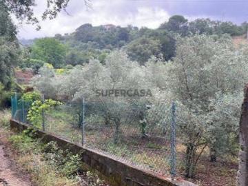 Terreno em Torres Novas Santa Maria, Salvador e Santiago