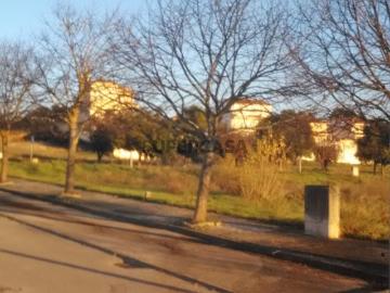 Terreno em Torres Novas Santa Maria, Salvador e Santiago