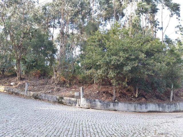 Terreno em Touguinha