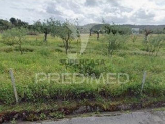 Terreno em Tramagal