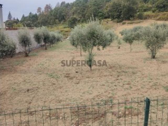 Terreno em Trancoso São Pedro e Santa Maria e Souto Maior