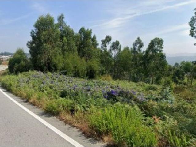 Terreno em Travanca