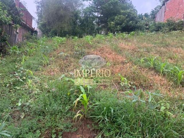 TERRENO EM TRÊS COROAS, Serra Gaúcha