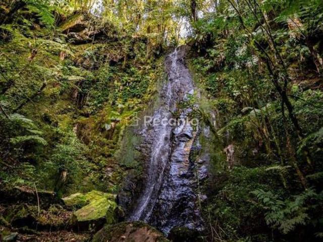 Terreno em Tres Coroas, Três Coroas/RS de 144434m² à venda por R$ 1.200.000,00