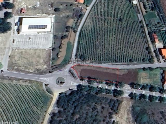 Terreno em Trevões e Espinhosa