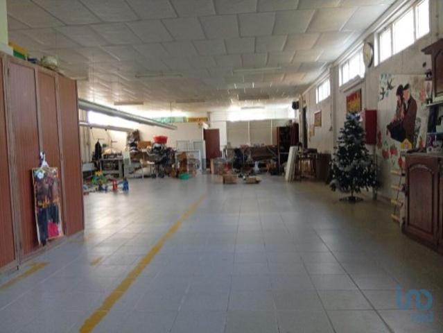 Terreno em Ucha de 695,00 m²