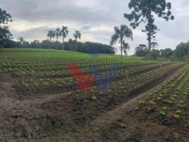 Terreno em Umbará, Curitiba/PR de 21000m² à venda por R$ 4.990.000,00