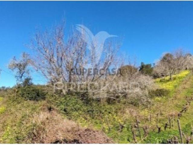 Terreno em União Freguesias Santa Maria, São Pedro e Matacães