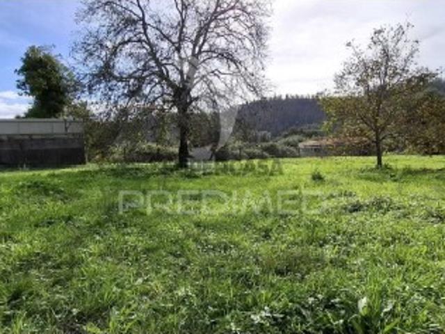 Terreno em Urqueira
