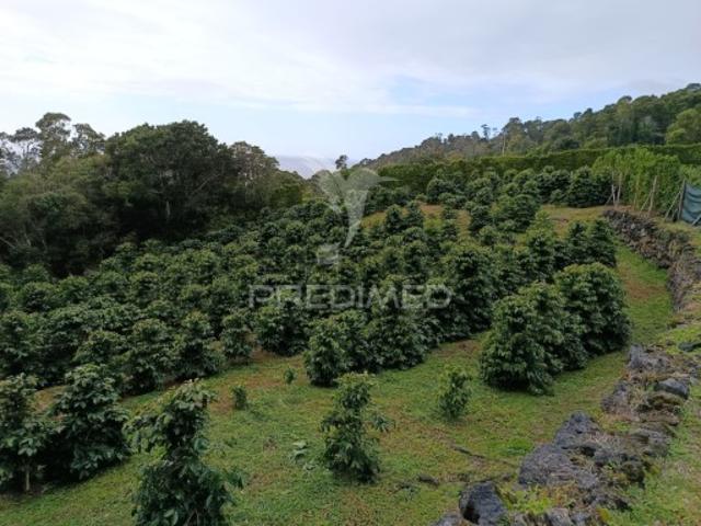 Terreno em Urzelina São Mateus