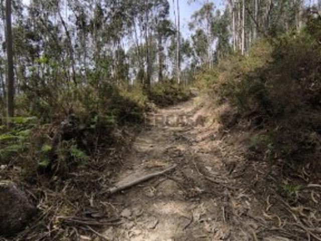 Terreno em Valdreu