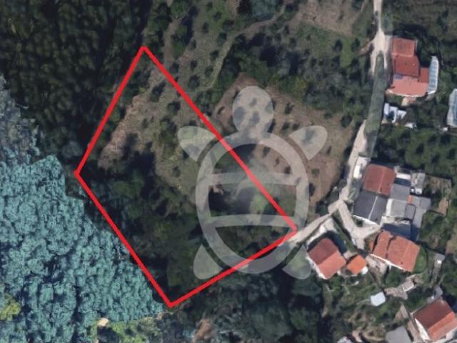 Terreno em vale de Canas