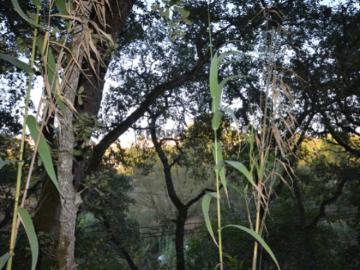 Vale de S Gião, Milharado, Concelho de Mafra, Distrito de Lisboa
