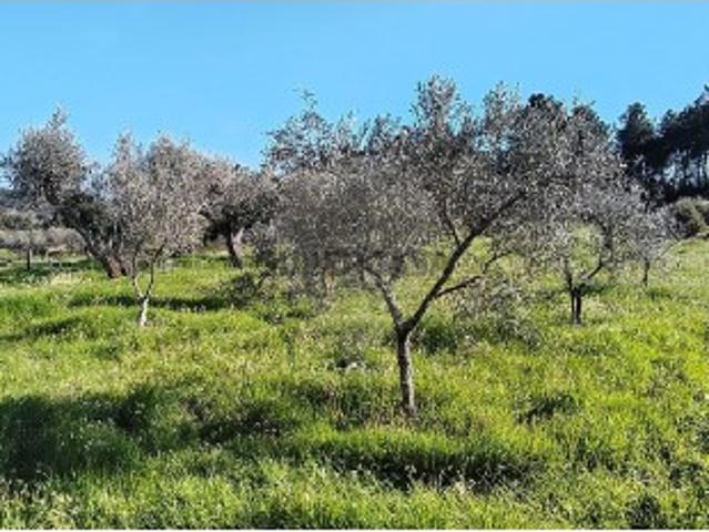 Terreno em Valpaços e Sanfins