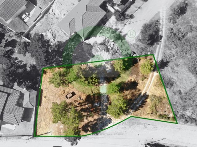 Terreno em Valpaços
