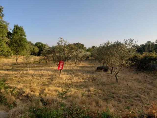 Terreno em Valverde, Aguiar da Beira