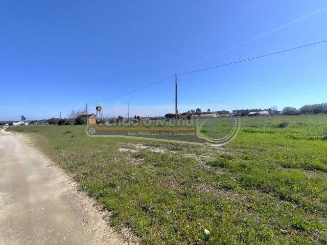 Terreno em Várzea Fresca Foros de Salvaterra F833