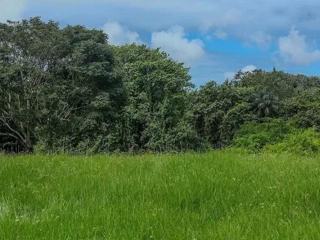 Terreno em Várzea, Recife/PE de 537m² à venda por R$ 359.700,00