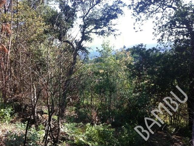 Terreno em Venade