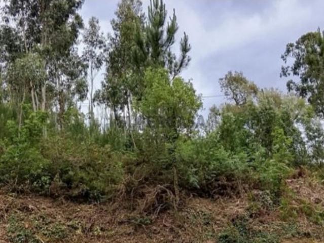 Terreno em Venade e Azevedo
