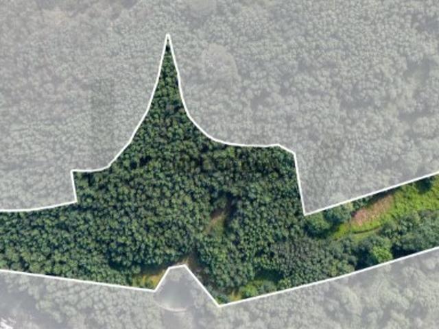 Terreno em Venda Oportunidade Única em Braga