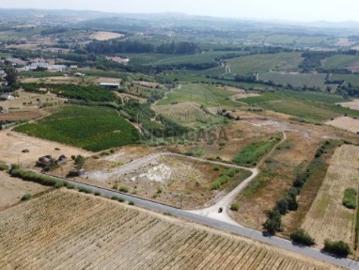 Terreno em Ventosa