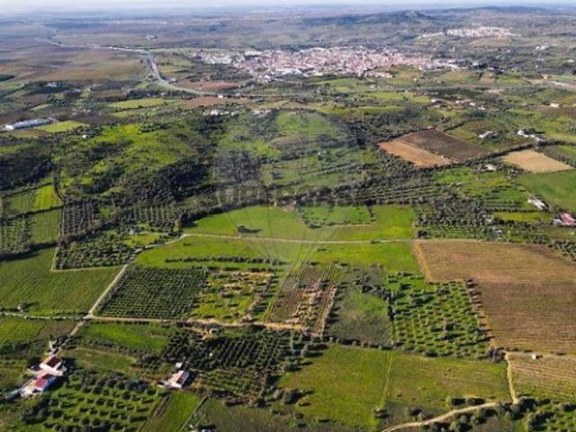 Terreno em Vidigueira