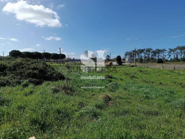 Terreno em Vieira de Leiria