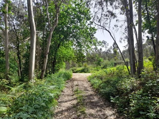 Terreno em Vila Chã Esposende