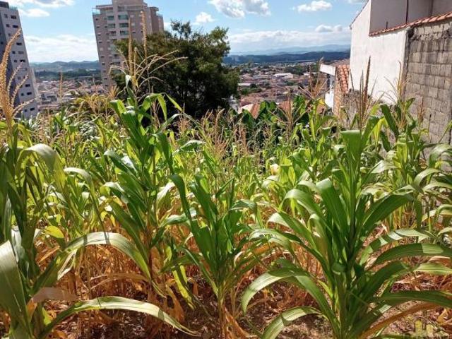 Terreno em Vila Aprazível, Jacareí/SP de 0m² à venda por R$ 300.000,00