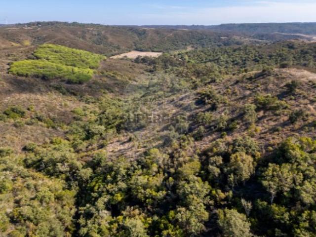 Terreno em Vila do Bispo e Raposeira