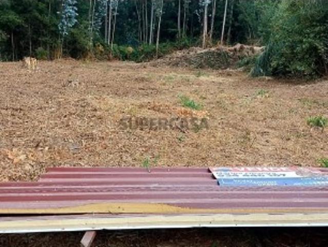 Terreno em Vila de Cucujães