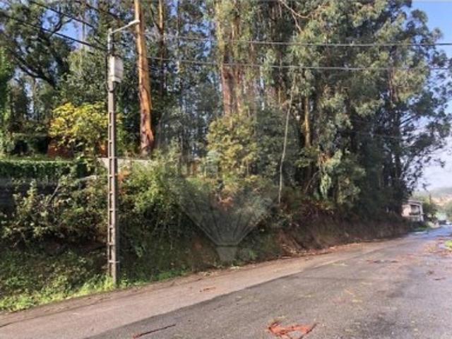 Terreno em Vila de Cucujães