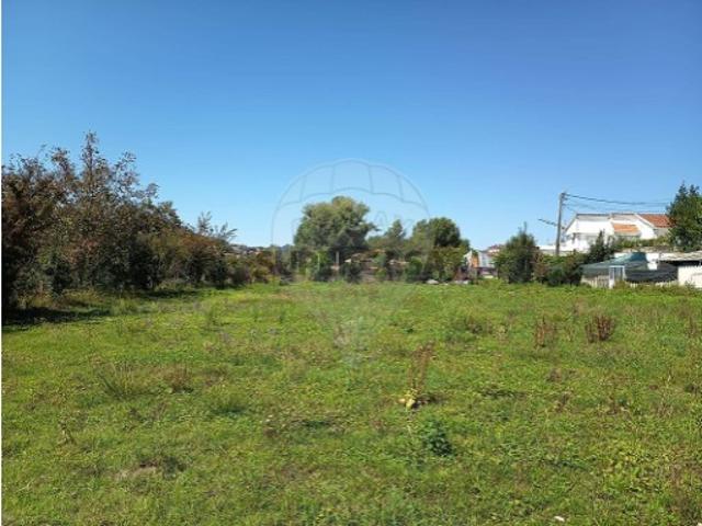 Terreno em Vila de Cucujães