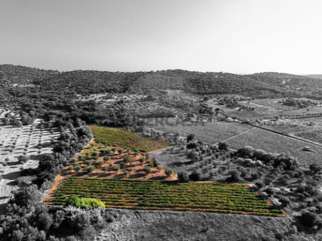Terreno em Vila de Frades