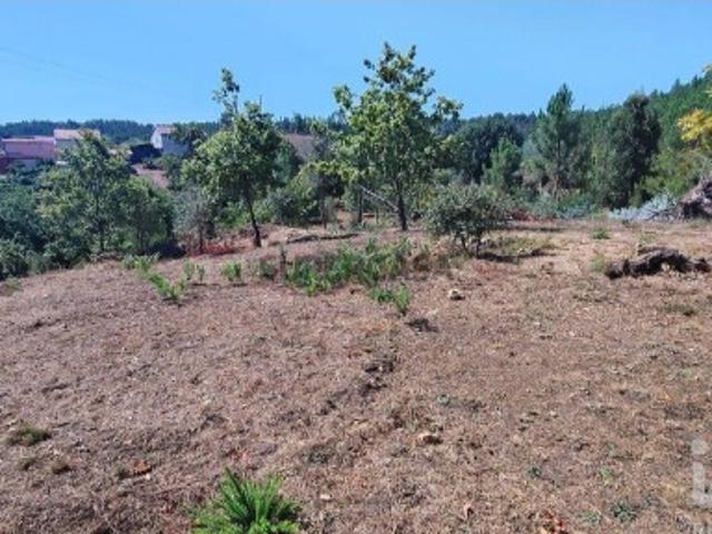 Terreno em Vila Facaia