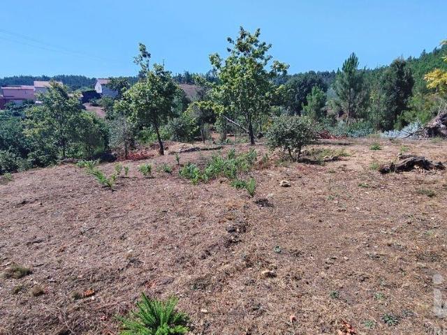 Terreno em Vila Facaia