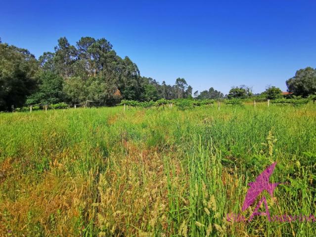 Terreno em Vila Fria, com possibilidade de construção até 3 moradias
