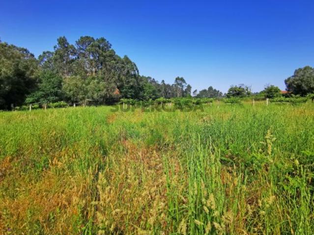 Terreno em Vila Fria, com possibilidade de construção até 3 moradias