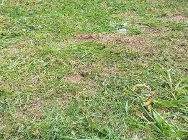 Terreno em Vila Independência, Piracicaba/SP de 0m² à venda por R$ 280.000,00