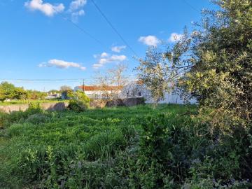 Terreno para Construção em Vila Nova da Baronia