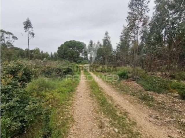 Terreno em Vila Nova da Barquinha