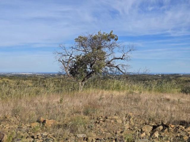 Terreno em Vila Nova de Cacela
