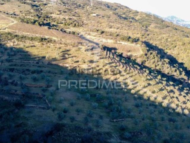 Terreno em Vila Nova de Foz Côa